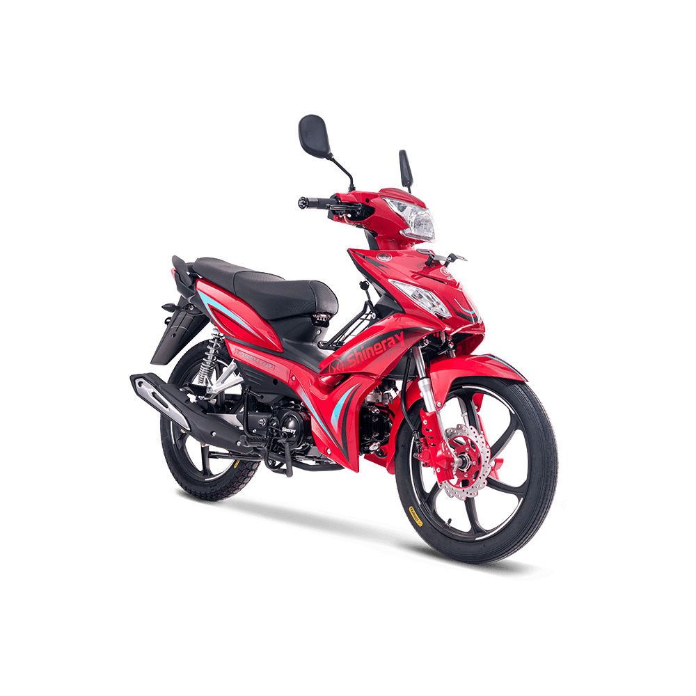 MOTO SHINERAY CABALLITO 125 XY125-30A