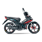 MOTO SHINERAY CABALLITO 125 XY125-30A