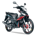 MOTO SHINERAY CABALLITO 125 XY125-30A