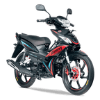 MOTO SHINERAY CABALLITO 125 XY125-30A