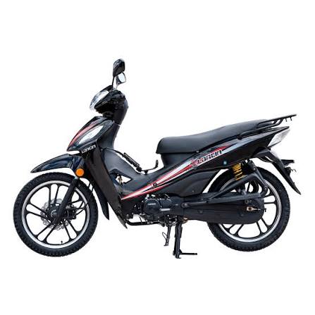 MOTO LONCIN CABALLITO LX110-13A